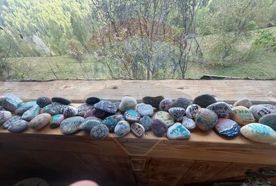 Proprietate eco-turistică de vânzare – 62.330 mp, Horea, Alba - 20