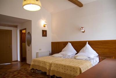 Hotel Bielmann,unicitate si profitabilitate optima in turism,Sanpetru, Brasov - 26