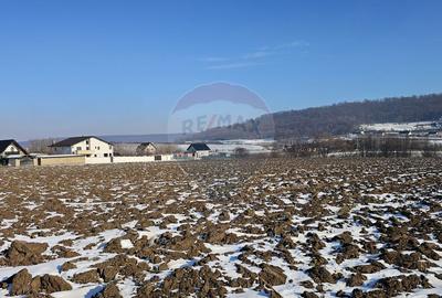 Teren intravilan 2200mp, Suceava / DJ208D - 9