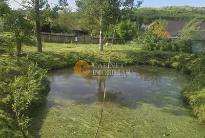 Oază de liniște și natură! Casă  cu 2 heleșteie și pârâu în curte – Probota - 9
