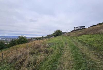 0 % comision, 5 parcele de teren, str Ionel Perlea-Borhanci - 3