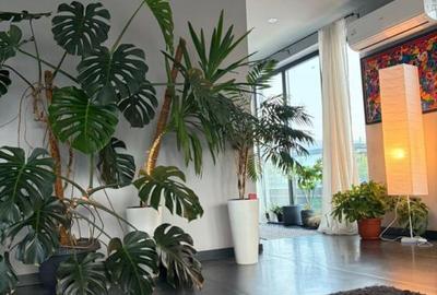 Penthouse de inchiriat in Borhanci, terasa generoasa - 4