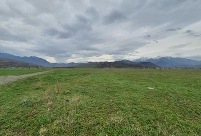 Teren Rasnov – Glajariei zona de case - 2