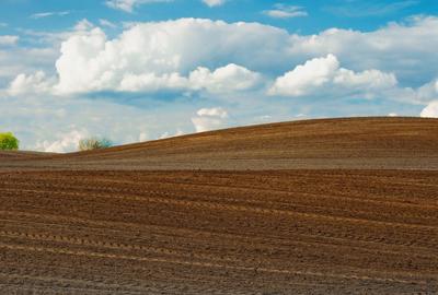 Teren agricol de vanzare Sannicolau Mare