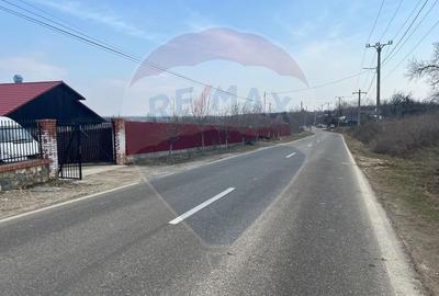 Teren intravilan Dumbraveni / Strada Principala - 3