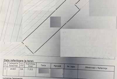 Teren intravilan de 7300 mp, în Brăilița