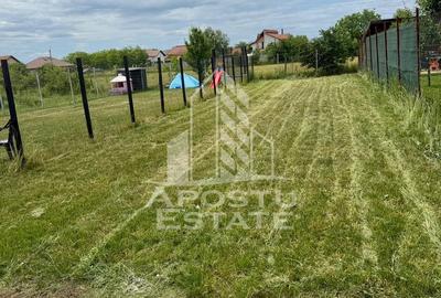 Duplex 5 camere de inchiriat, petfriendly, Ghiroda - 15