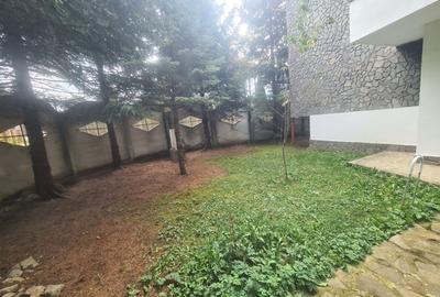 Complex turistic de vanzare  - Zona Poiana Tapului - 6