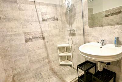 Spacious 4 Bedroom Apartament : Universitate - Calea Victoriei - Large Terrace - 15