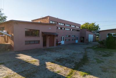 Hală industrială cu multiple destinații în Nădlac - 41