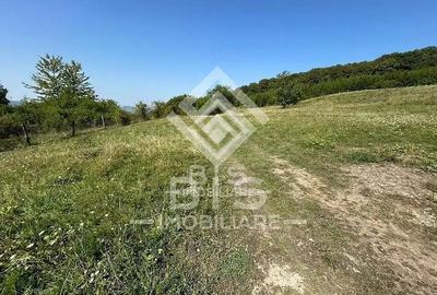 Teren Extravilan - 10'000 Mp - Valea Budacului (Bistrita) - 2