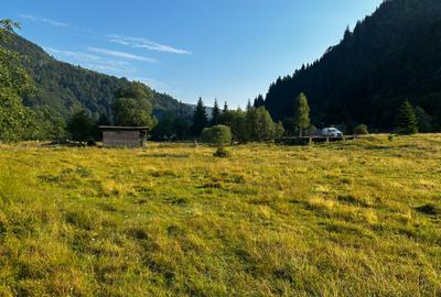 Rucar-Satic, teren intravilan de vanzare, loturi de la  500 mp, peisaj de vis! - 4