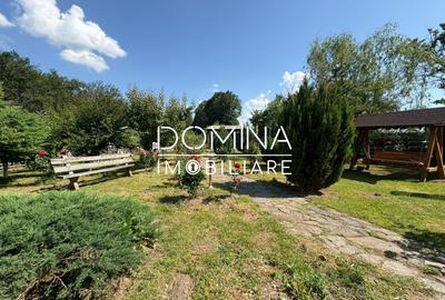 *Domeniu* cu potential turistic - casa de vis, livada si vie - Bumbesti-Jiu - 8