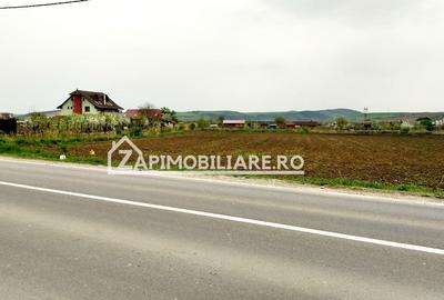 Teren 5800 mp,150m de Aeroport deschidere 58m la E60,20 euro - 1