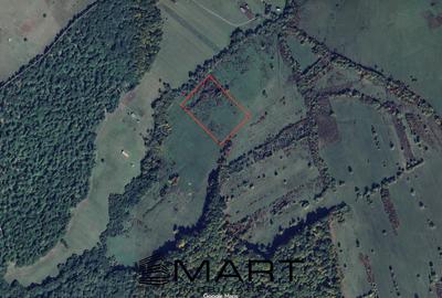 Teren extravilan agricol + fanata 21000mp Cisnadie - 3