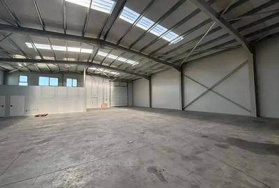 Spațiu industrial, 591 mp în Exterior Vest