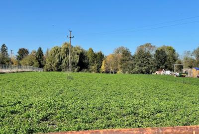 Teren de vanzare Prejmer - 2