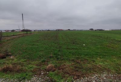 Teren Construcții intravilan de 3266 mp, în Ișalnița