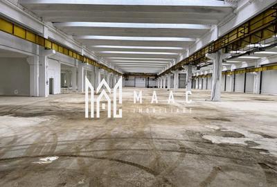 Spațiu industrial, în Mârșa