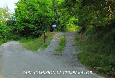 TEREN 684 MP, ZONA SUPERBA - 3