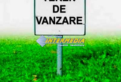 Teren Intravilan de vanzare 533mp, in Oarda cu utilitati! - 4