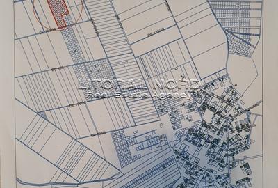 Exclusivitate -Techirghiol, teren intravilan, 423mp, deschidere la strada de 17m - 4