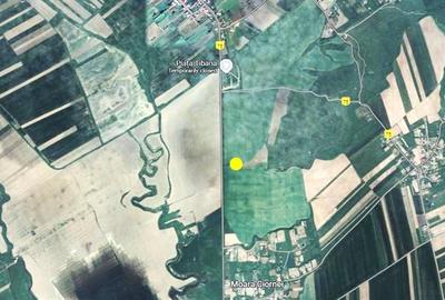 Teren agricol 64 ha comasat| Deschidere 800 m la drum comunal | Utilitati dispon - 3