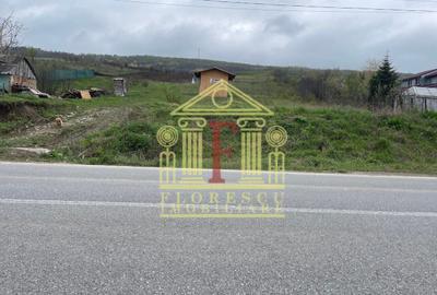 Super oferta ! Teren Tomesti ! - 2