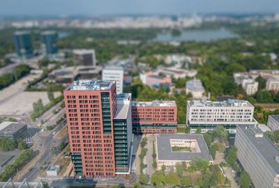 Birou, 200 mp în Domenii