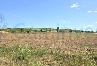 Teren intravilan de 4500 mp in zona industriala Episcopia,Oradea, Bihor - 1