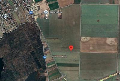 Oportunitate! Teren intravilan 10.128 mp - Destinație mixtă - Brănești - 2