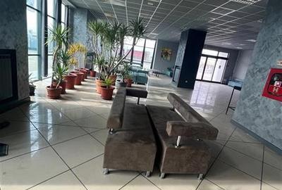 Inchiriere Showroom / Cladire Multifunctionala - 10