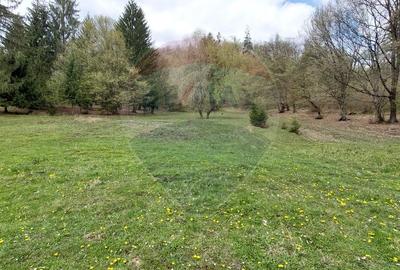 Poienita 2800mp, Covasna, zona hotel Clermont, inconjurat de padure - 15