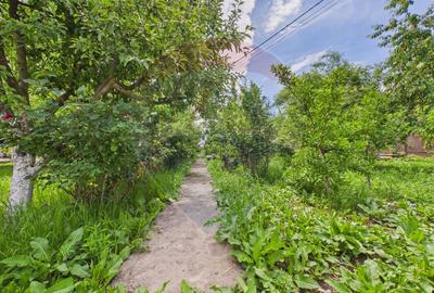 Casă 65 mp + teren 4000 mp, livadă, Butimanu - 26