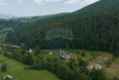 Teren 2.891 mp Șimon – Bran | Poziție rară, potențial turistic - 3