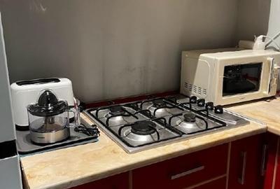 Ap.,doua camere Centrul Vechi, Universitate - 3