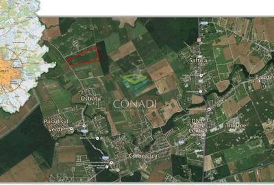 Corbeanca- Teren 45 Ha cu PUZ aprobat - 1