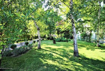 Buftea teren 700 mp SUPERB cu AConstruire P+1E - 6