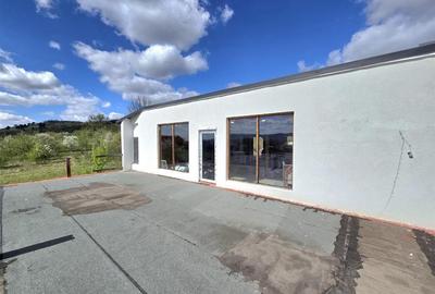 PROPRIETATE MULTIFUNCTIONALA | TEREN 3788 MP | SPALATORIE CAMIOANE + CASA |  DN1 - 28