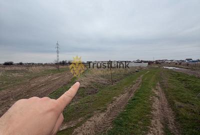 Teren intravilan 454 mp Berceni strada Alexandru Lapusneanu Primaverii - 4