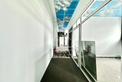 Spatiu Comercial/Birouri de Inchiriat In zona UTA langa Penny, Ared - 8