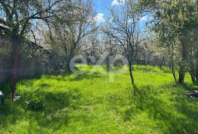 Casă la țară cu teren 3940 mp și livadă – zonă liniștită - 1