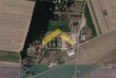 Hala de productie 936 mp de vanzare la Sofronea - 12