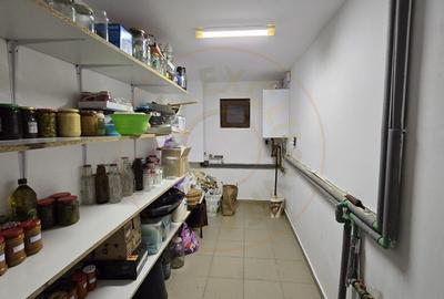 De Vanzare Casa Paulestiului 9 ari teren - 10