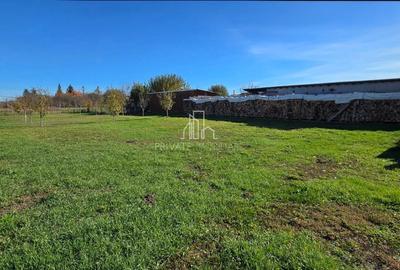 Teren de vanzare, Albesti, Sighisoara - 1