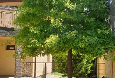 Casă unică, poziție imbatabilă - 6