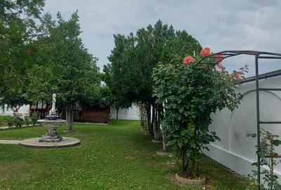 Snagov- Gruiu- Santul Floresti -Proprietate cu stil pentru oameni gospodari! - 1