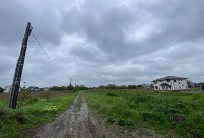 Teren intravilan | 3993 mp | Ciorogarla, Ilfov | Utilitati - 10