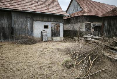 Teren Construcții intravilan de 2848 mp, în Arghișu