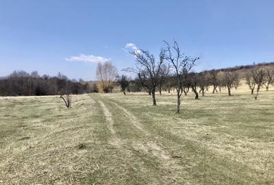 Vanzare teren intravilan- livezi - 3